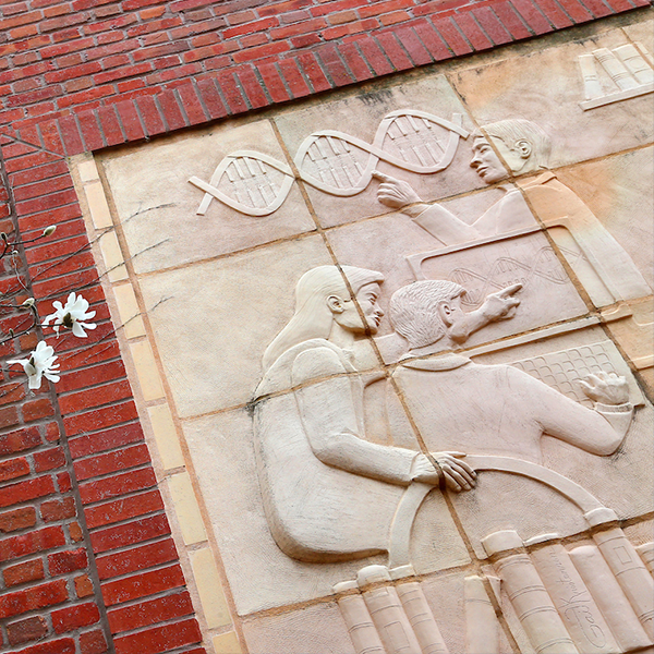 image of a relief sculpture on a brick wall depicting three scientists at work, a DNA double helix, and books.